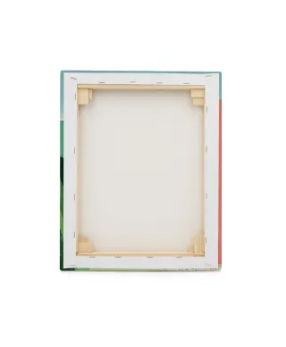 Bicycle, Pink House - obraz na płótnie