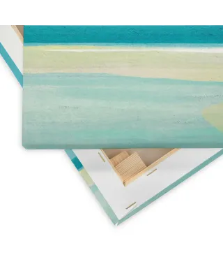 Elephant Beach - obraz na płótnie