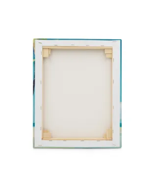 Elephant Beach - obraz na płótnie