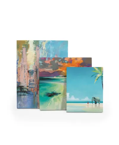 Elephant Beach - obraz na płótnie