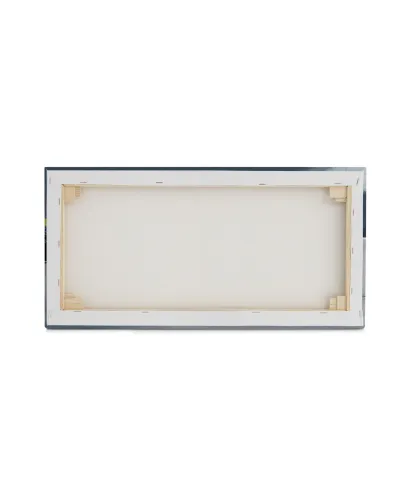 Silver Light Lewis - obraz na płótnie