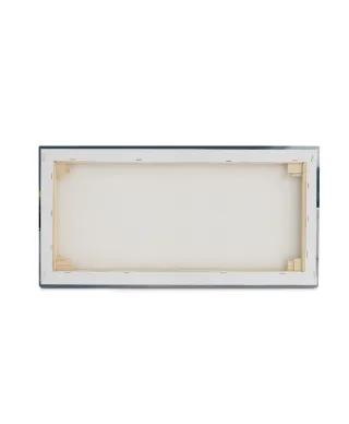 Silver Light Lewis - obraz na płótnie