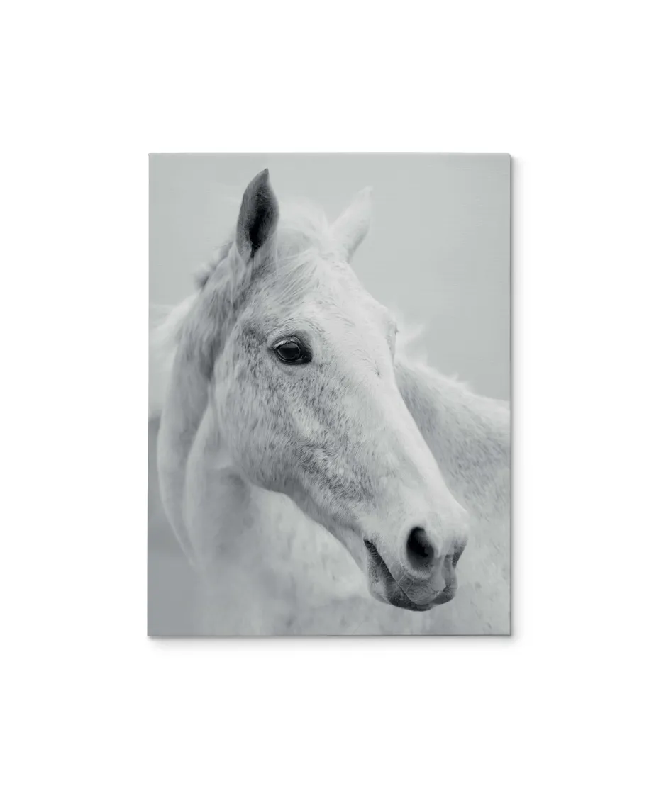 Nordic Horse II - obraz na płótnie