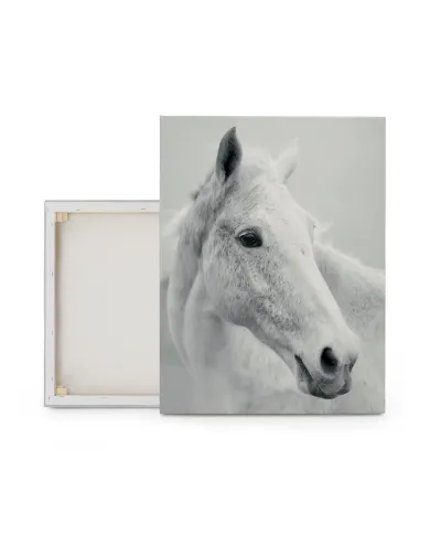 Nordic Horse II - obraz na płótnie