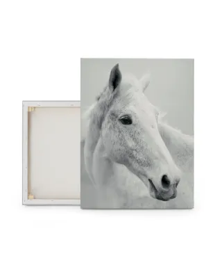 Nordic Horse II - obraz na płótnie