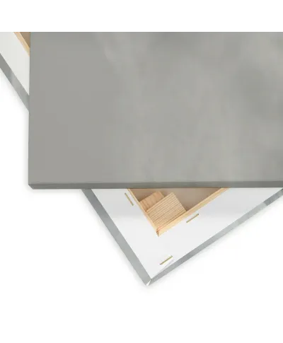 Nordic Horse II - obraz na płótnie