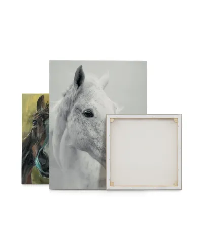 Nordic Horse II - obraz na płótnie