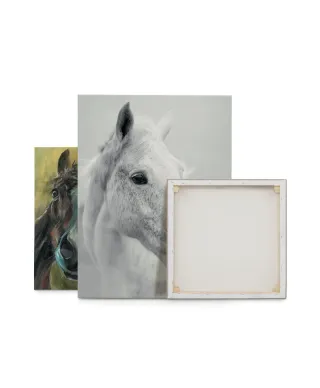 Nordic Horse II - obraz na płótnie