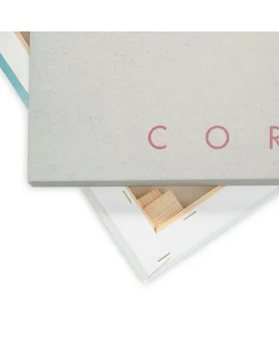 Cornwall - obraz na płótnie