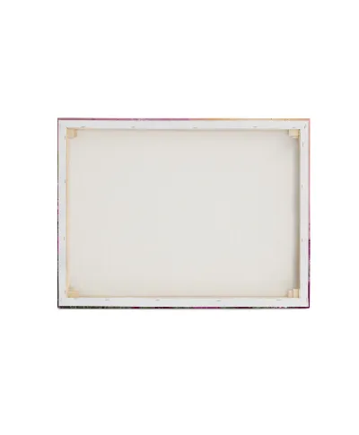 Pink Carnations - obraz na płótnie