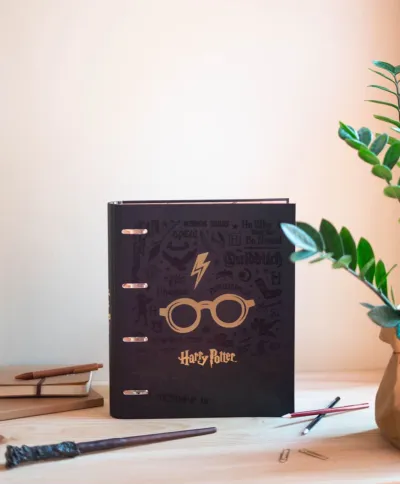 Harry Potter - segregator A4