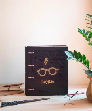 Harry Potter - segregator A4