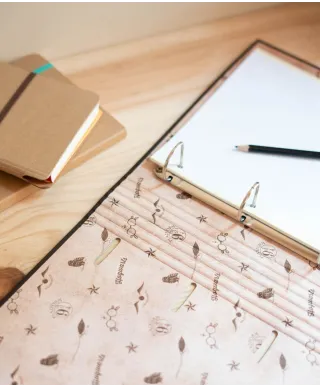 Harry Potter - segregator A4