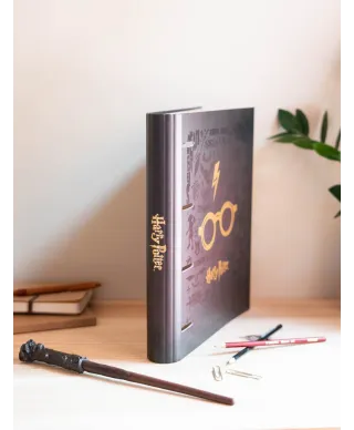 Harry Potter - segregator A4