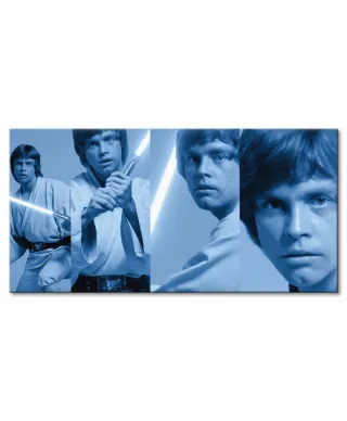 Obraz na płótnie - Star Wars (Luke Skywalker Pose)