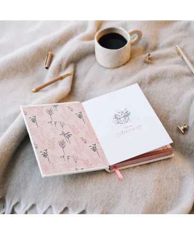 Disney Bonjour Marie - notes A5 pluszowy