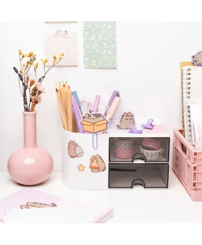 Pusheen Moments - naklejki wielorazowe