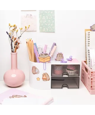 Pusheen Moments - naklejki wielorazowe