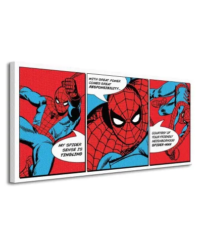 Obraz na płótnie - Spider-Man (Triptych)