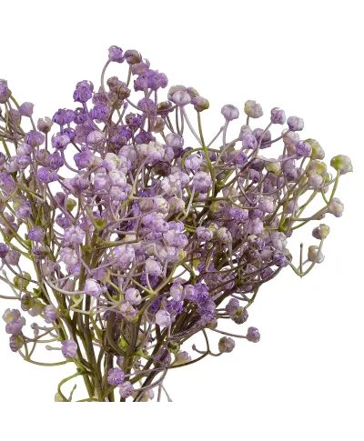 VIRIDIS Kwiat sztuczny Gipsówka pęczek x6 15x15x33cm AW25