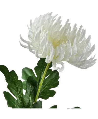 VIRIDIS Kwiat sztuczny Chryzantema gałązka 70cm AW25