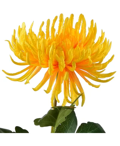 VIRIDIS Kwiat sztuczny Chryzantema gałązka 70cm AW25