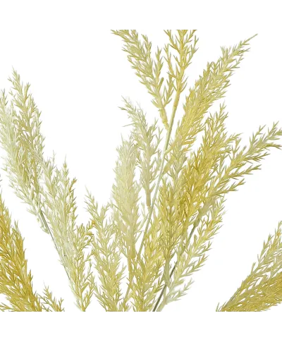 VIRIDIS Kwiat sztuczny Gałązka ozdobna 80cm AW25