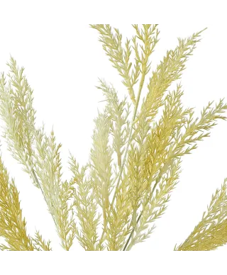 VIRIDIS Kwiat sztuczny Gałązka ozdobna 80cm AW25