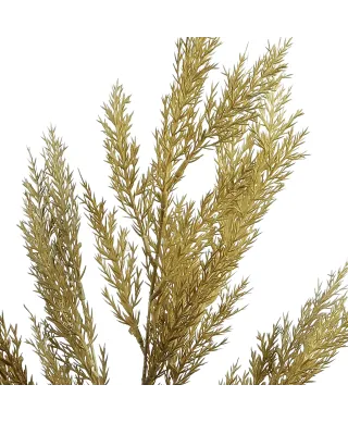 VIRIDIS Kwiat sztuczny Gałązka ozdobna 80cm AW25