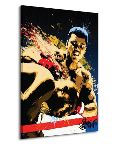 Obraz na płótnie - Muhammad Ali (Stung - Petruccio)
