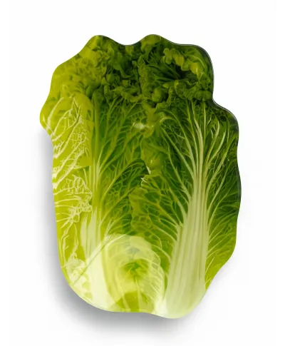 ARIA FRESH Naczynie sałata 13x17xh1cm