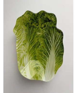 ARIA FRESH Naczynie sałata 13x17xh1cm