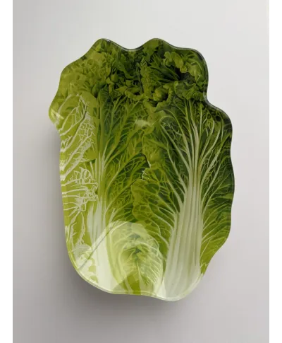 ARIA FRESH Naczynie sałata 14x20xh1cm