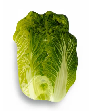 ARIA FRESH Miseczka sałata 18x27xh1,5cm