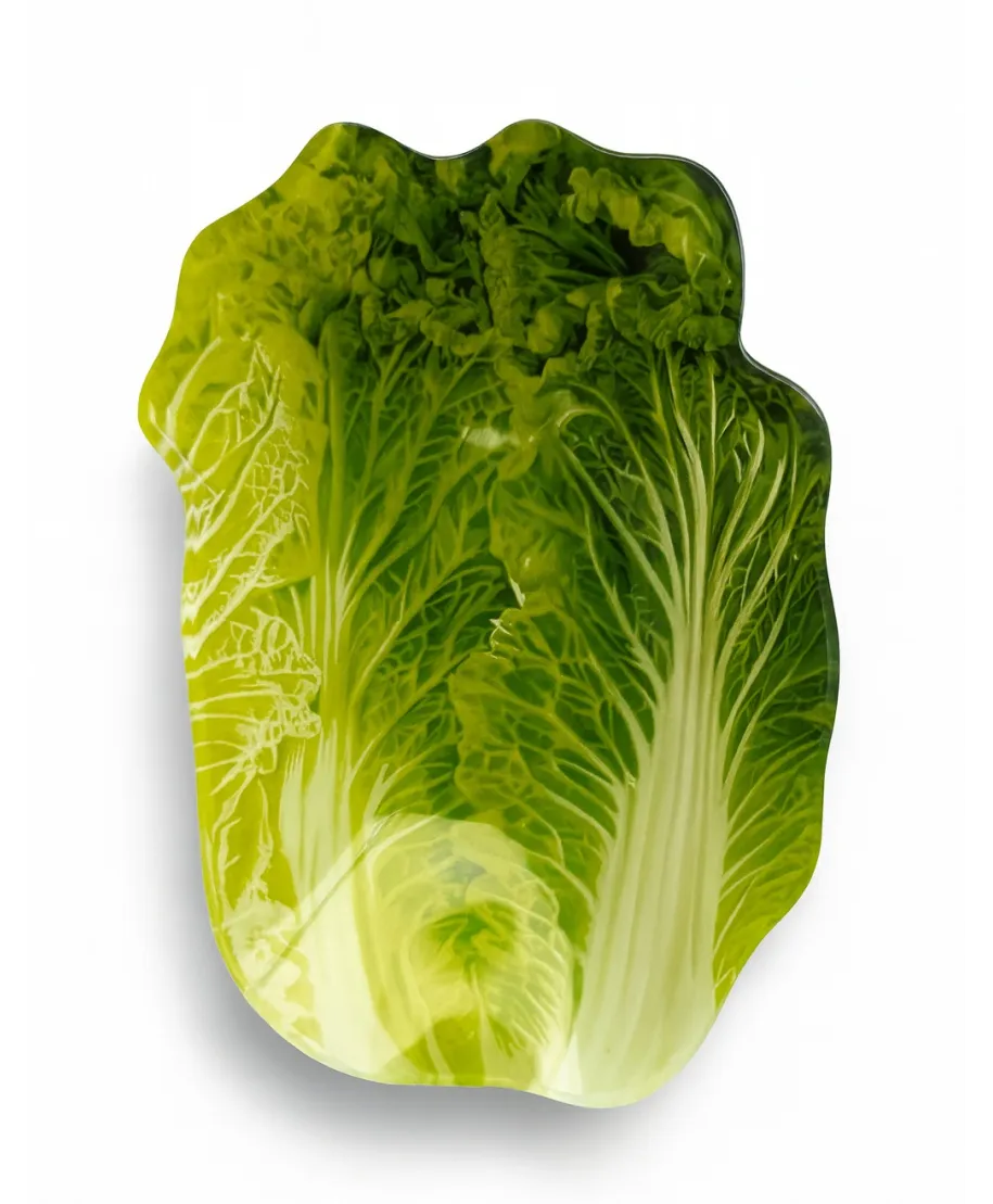 ARIA FRESH Naczynie sałata 15x22xh4cm ARIA FRESH Naczynie sałata 15x22xh4cm