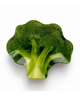 ARIA FRESH Naczynie brokuł 20x23xh1cm