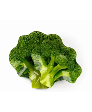 ARIA FRESH Naczynie brokuł 20x23xh1cm