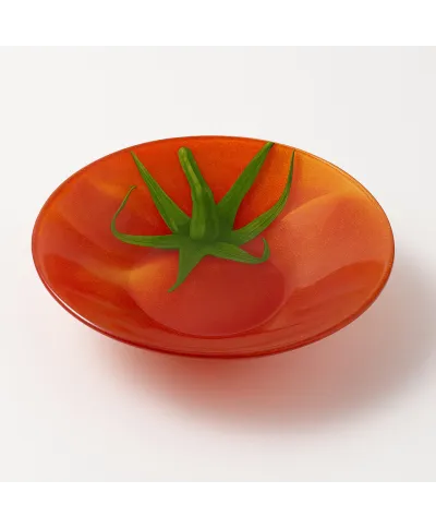 ARIA FRESH Naczynie pomidor 18x18xh4,5cmMiska