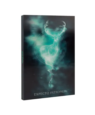 Harry Potter - notes A5 z okładką 3D