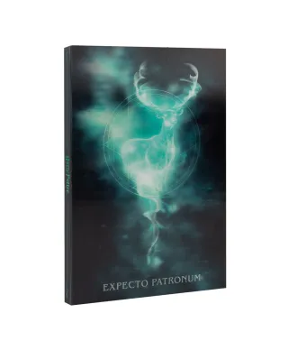 Harry Potter - notes A5 z okładką 3D