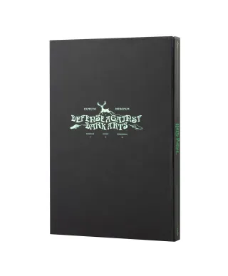 Harry Potter - notes A5 z okładką 3D