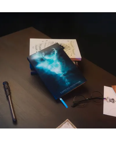 Harry Potter - notes A5 z okładką 3D