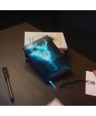 Harry Potter - notes A5 z okładką 3D