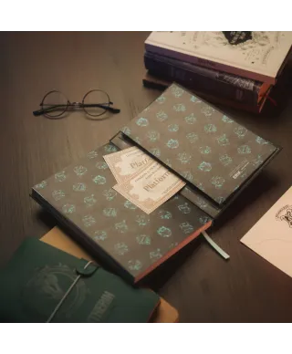 Harry Potter - notes A5 z okładką 3D