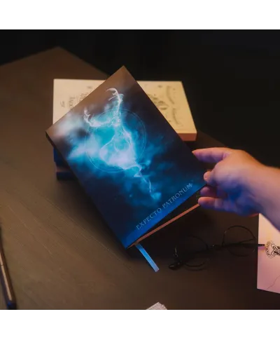 Harry Potter - notes A5 z okładką 3D