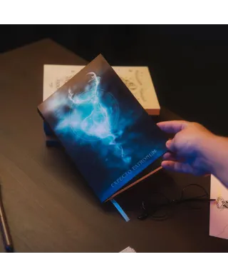 Harry Potter - notes A5 z okładką 3D