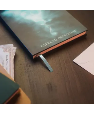 Harry Potter - notes A5 z okładką 3D