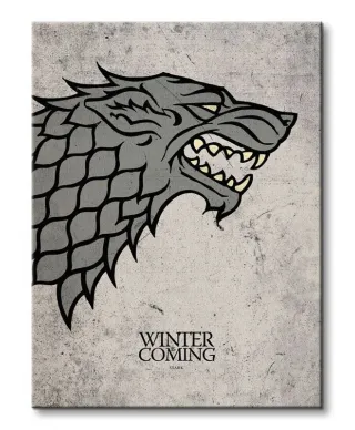 Obraz na płótnie - Game of Thrones (Stark)