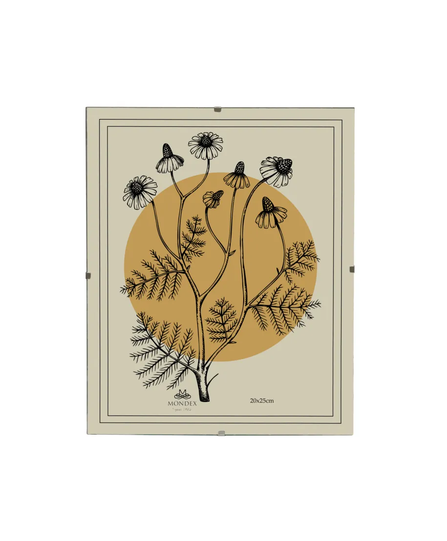 ADI Ramka 20x25cm Antyrama szkło