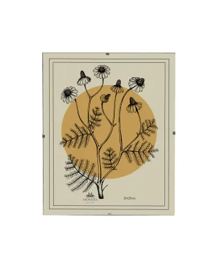 ADI Ramka 20x25cm Antyrama szkło